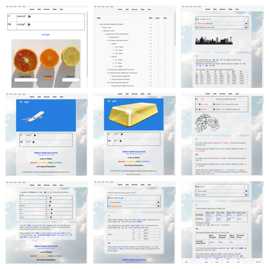 anki-italian-french-level2