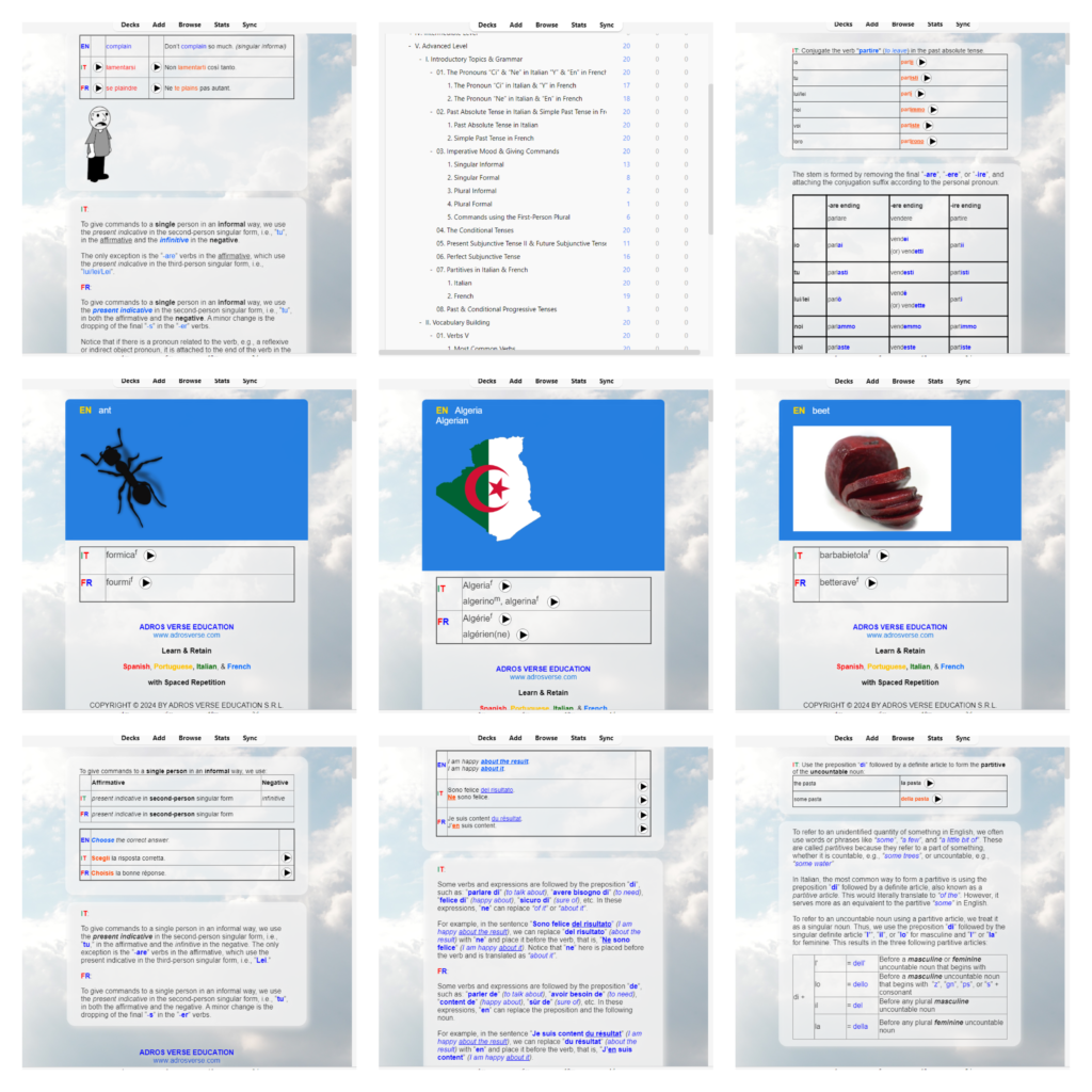 anki-italian-french-level5