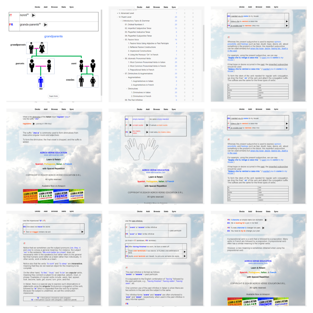 anki-italian-french-level6