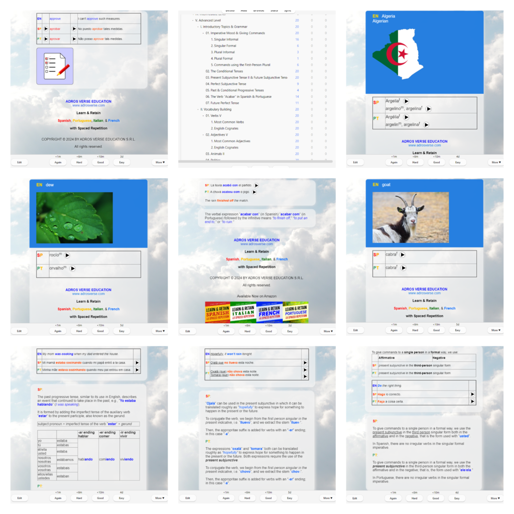 anki-spanish-portuguese-level-5