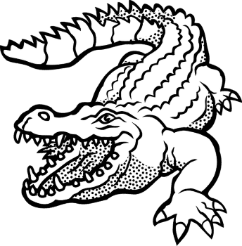 crocodile