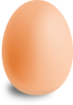 egg