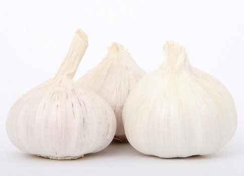 garlic