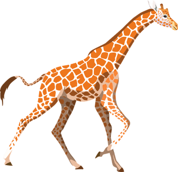 giraffe