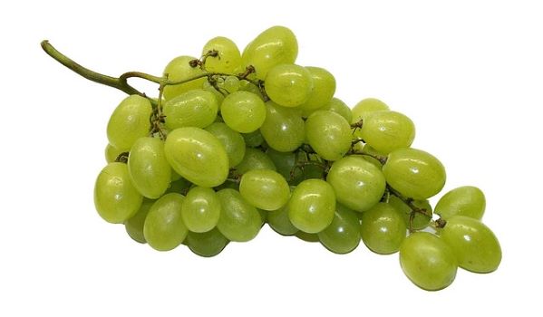 grape