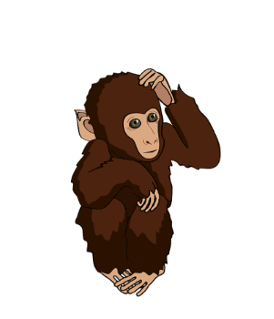 monkey