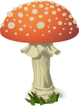 mushroom