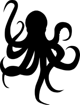 octopus