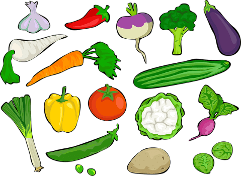 vegetable